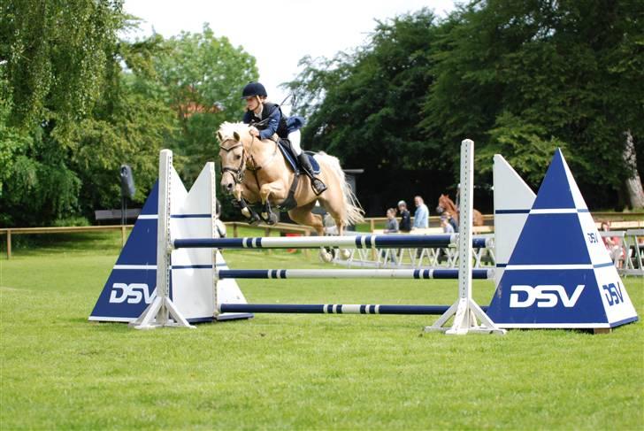 Palomino Imke *Rider* *solgt* - Imkes og mit sidste stævne inden hun blev solgt :/ billede 12