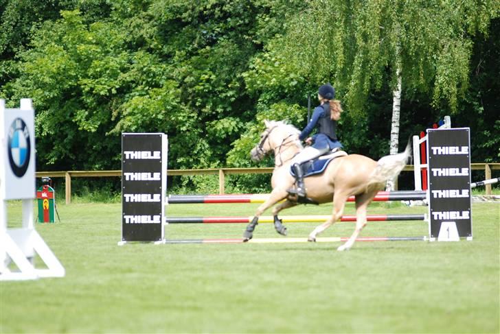 Palomino Imke *Rider* *solgt* - Imkes og mit sidste stævne inden hun blev solgt :/ billede 13