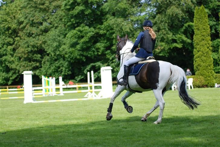 Tysk Sportspony Kiowa 006  *R.I.P* - nu er du på den evige græsmark.. savner dig mere end noget andet min skat.. vi ses engang hvor vi to skal ride dag og nat.. billede 20