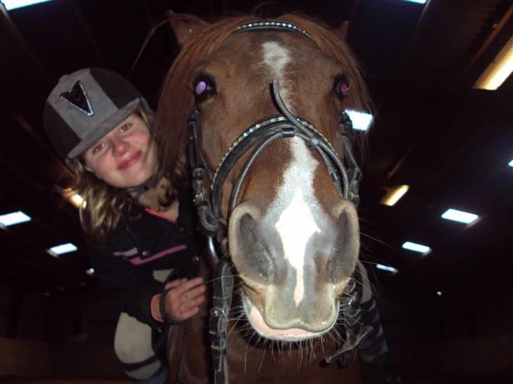 Anden særlig race ¬ PHILLIP <3 - (7) "En rytter er ikke en rytter uden sin hest, men en hest er stadig en hest uden sin rytter" billede 7