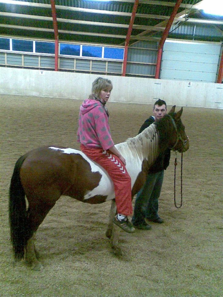 Anden særlig race Spirit - solgt billede 19