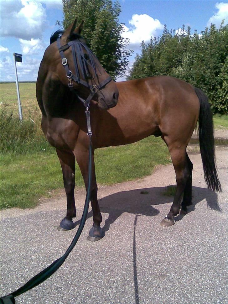 Anden særlig race Manse<33 - manse og mig var ude at gå en tur:D <33 billede 7