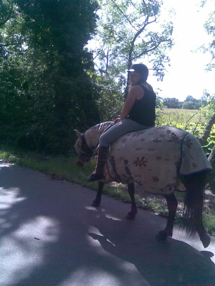 Anden særlig race Cassi. (Har passet) - Smiiiil :) billede 4