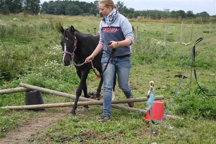Anden særlig race Miss Papaya   - Papaya introduceres for et spring. For første gang i hendes liv.  billede 9