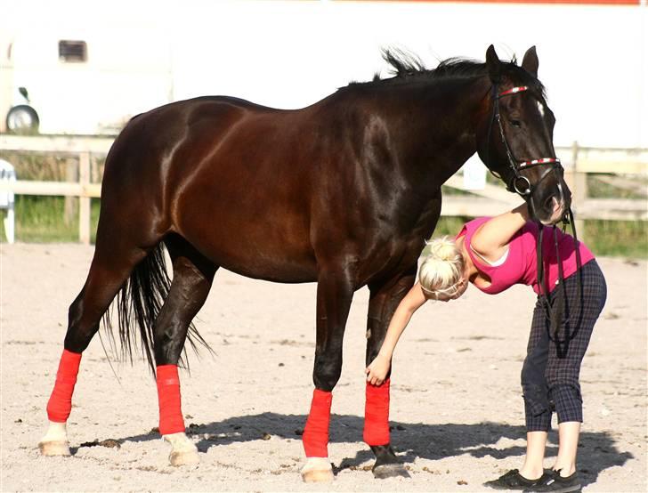 Anden særlig race Horsebjerg Massimou SOLGT - NYT Fotograf: Camilla Rosenlund / CR-FOTO billede 12