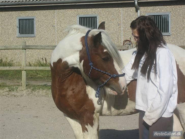 Tinker Indy (Savnet) - Du er skøn Indy (:  billede 13