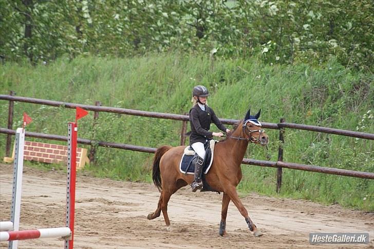 DSP Mirvana - STJERNEN billede 11