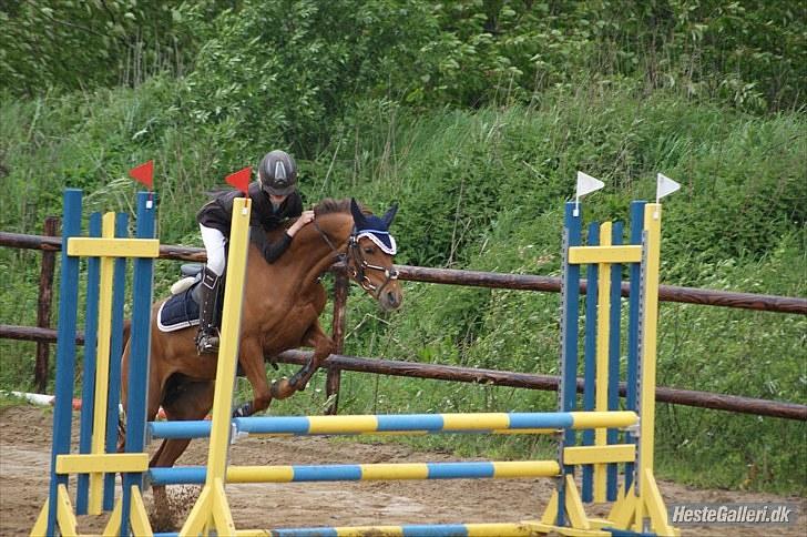 DSP Mirvana - STJERNEN billede 12