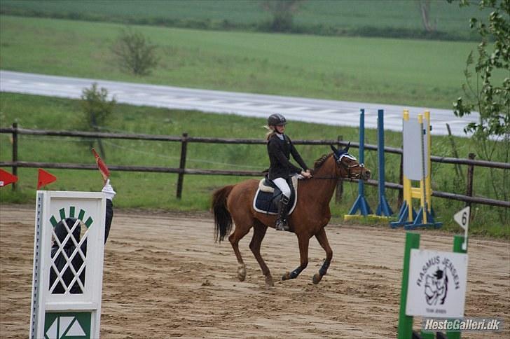 DSP Mirvana - STJERNEN billede 15