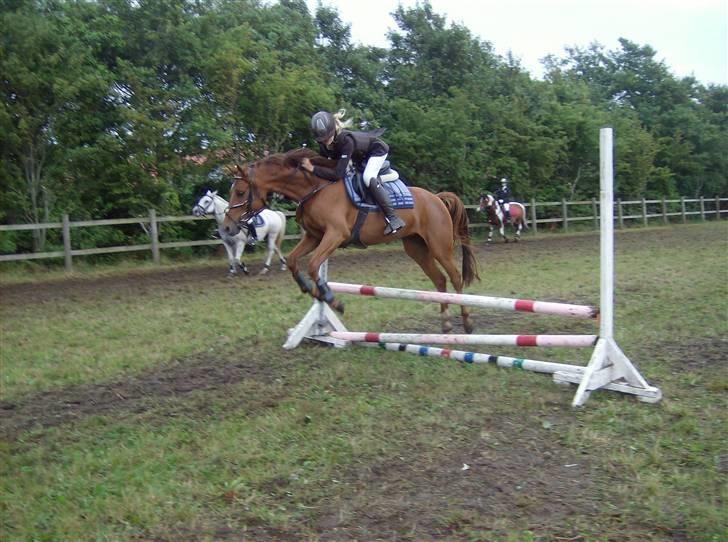 DSP Mirvana - STJERNEN billede 17