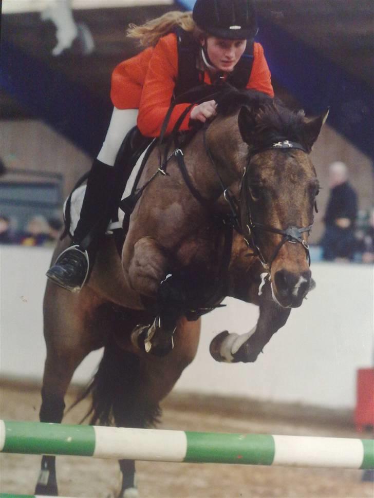 Quarter Scarlett  *r.i.p.*  billede 10