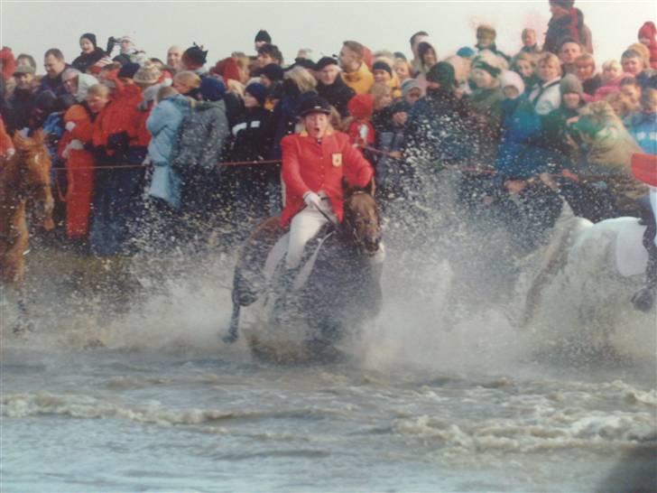 Quarter Scarlett  *r.i.p.*  - Hubertus Jagt i Dyrehaven... Pænt koldt !  billede 11