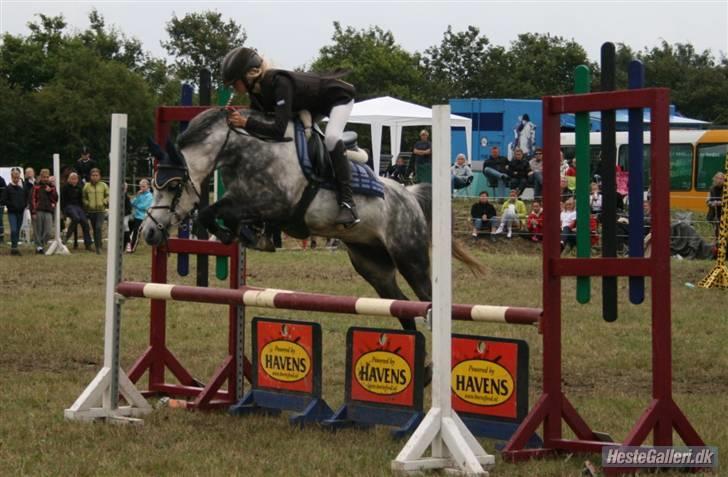 Anden særlig race Black Star - B pony<3 -  smuke bimse<3 billede 16