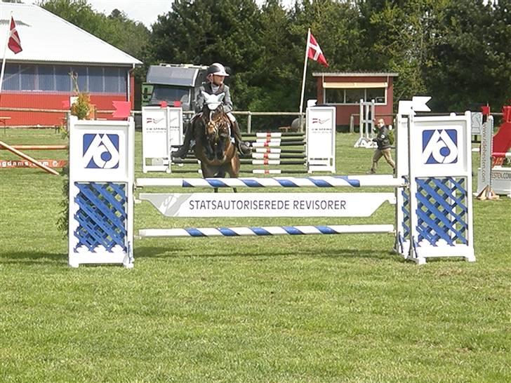 Welsh Pony (sec B) Bjerregård´s Felix B-pony - Ma til B-stævne i Stevnstrup xD<33 billede 19