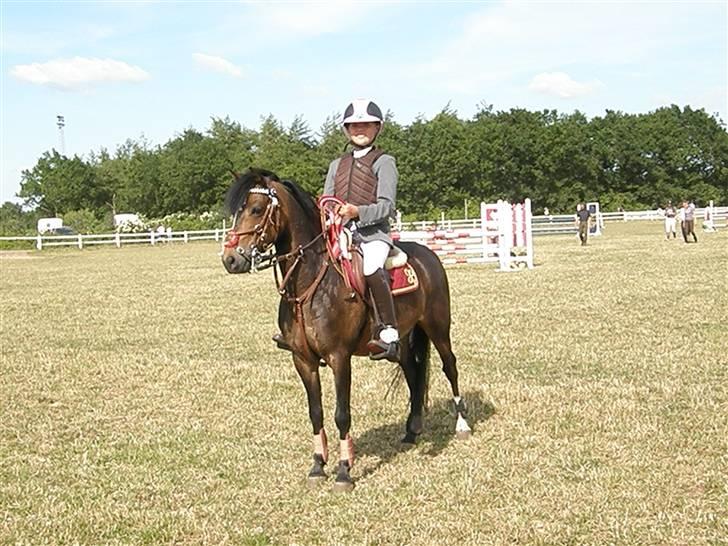 Welsh Pony (sec B) Bjerregård´s Felix B-pony - Til præmieoverrækkelse i Mb Ö vi vandt (´: <3<3<3<3<3<3<3 billede 20