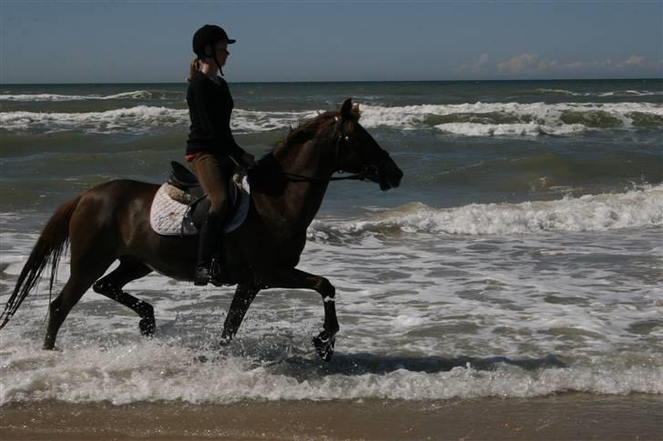 DSP Mia<3 solgt billede 16