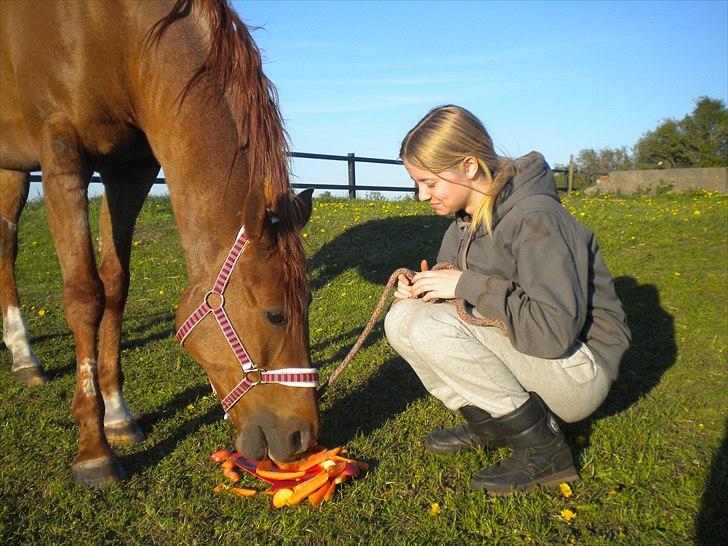 Anden særlig race Isabelle *Min engel* - Velkommen til  Isabelles profil! :D Fødseldagen blev fejret med sang og kage :D  billede 1