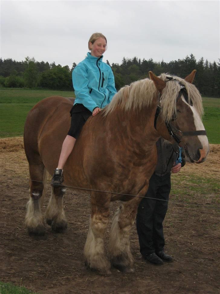 Jyde Conrad - : foto beste billede 15