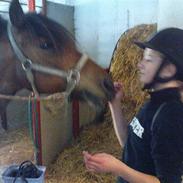 Anden særlig race Tøsen <333