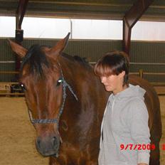 Anden særlig race Winston