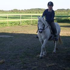 Anden særlig race polka  [solgt]