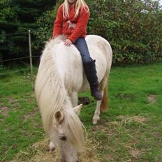 Anden særlig race Bella