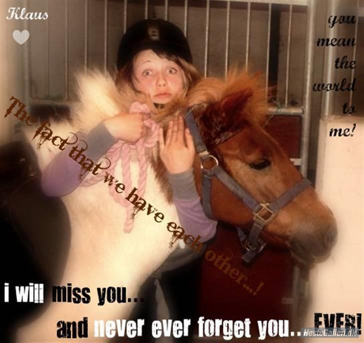 Anden særlig race KLAUS - SOLGT :'(<3 - ~/;. billede 10