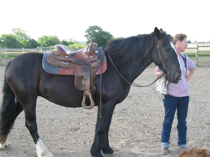 Tinker Miss I´Will - I Will til  western billede 8