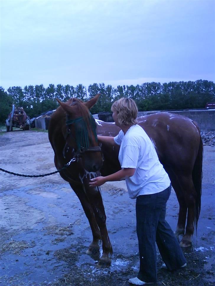 Traver Faun  (lån) - Det første bad, mens jeg har ham....det nød han meget billede 18