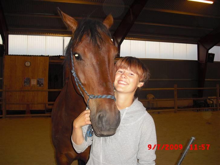 Anden særlig race Winston billede 1