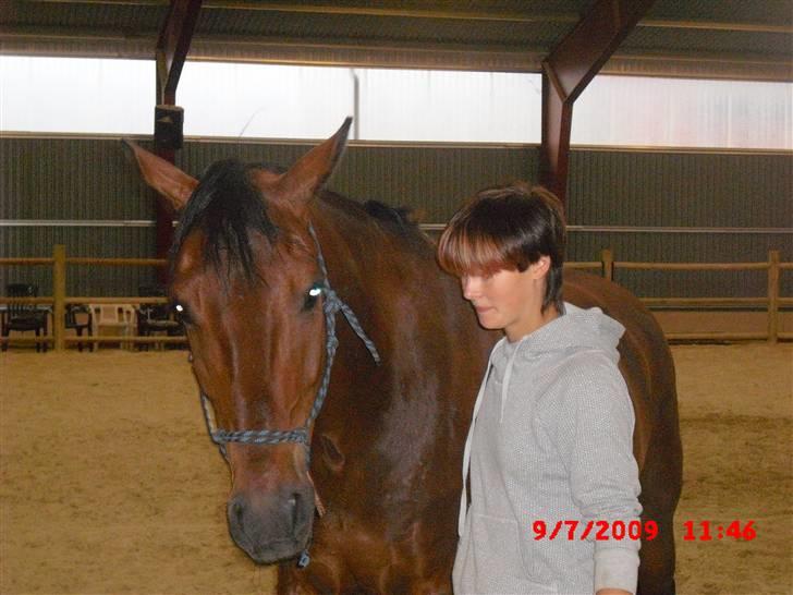 Anden særlig race Winston billede 3