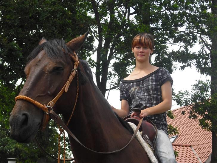 Anden særlig race Winston billede 9