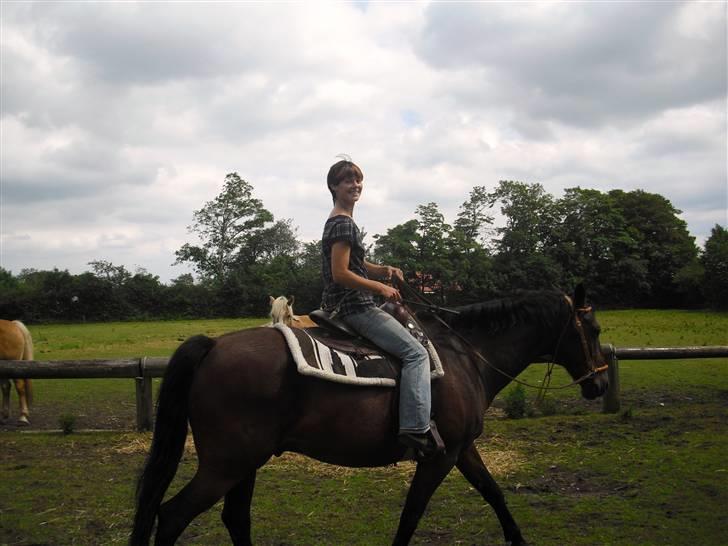 Anden særlig race Winston billede 10