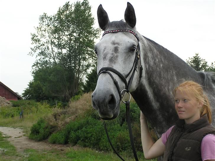 Holstener Cooper - Nåå han er sød billede 12
