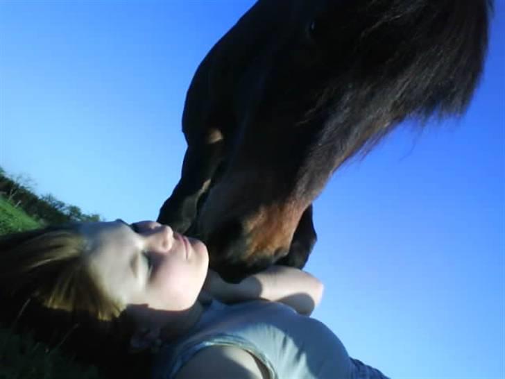 Islænder Keilir billede 9