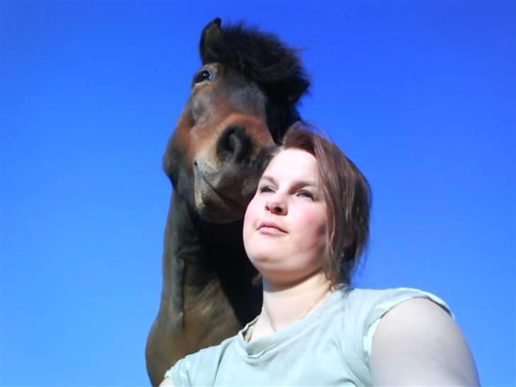 Islænder Keilir billede 11