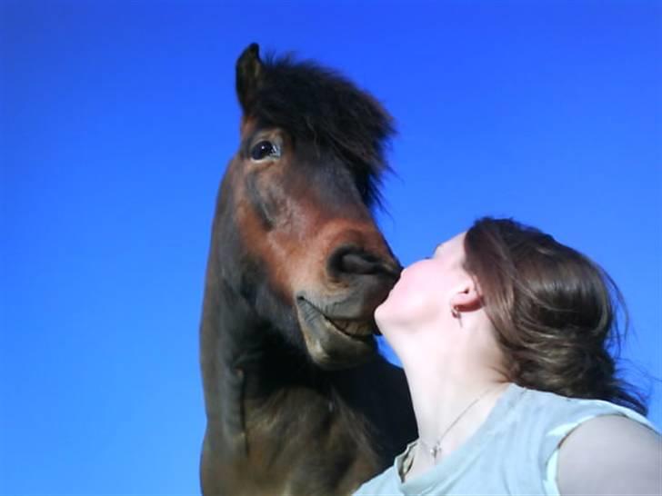 Islænder Keilir billede 12
