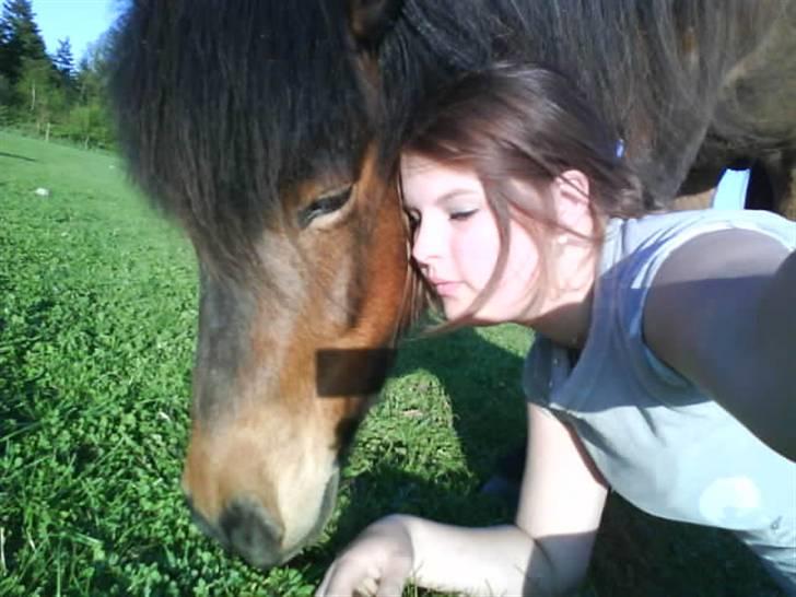 Islænder Keilir billede 13