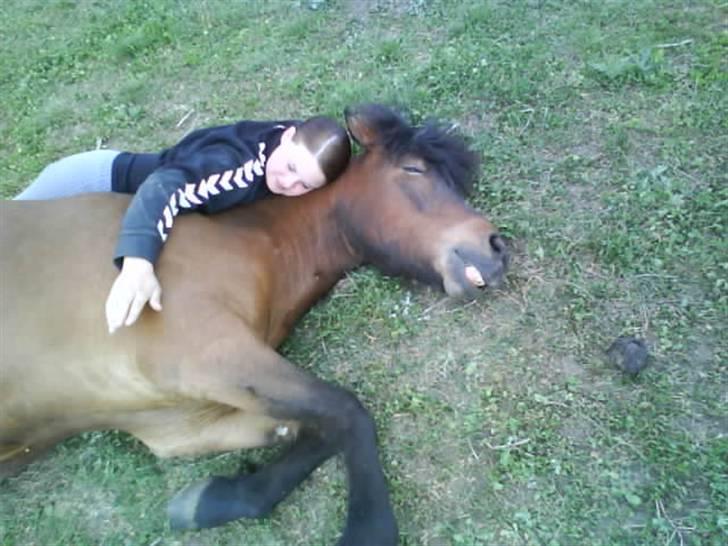 Islænder Keilir billede 16