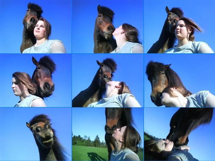 Islænder Keilir billede 18