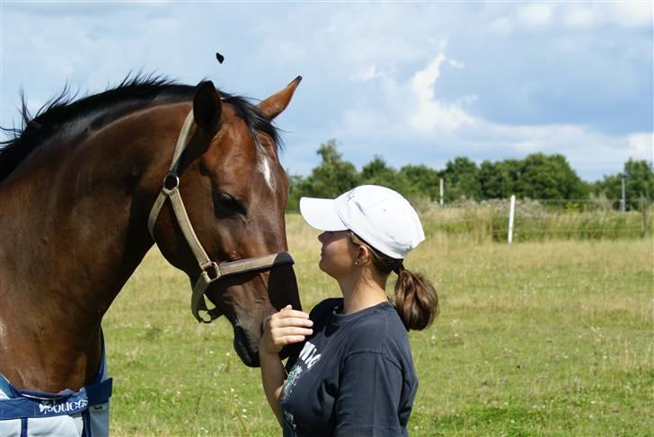 Dansk Varmblod Sawina - AFLIVET R.I.P.  - nusse hovedet billede 7