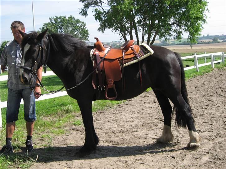 Tinker Miss I´Will - Kim der står med I Will billede 10