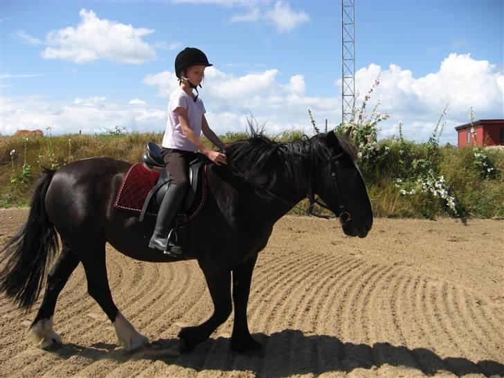 Tinker Miss I´Will - Jeg rider på I Will (: billede 11