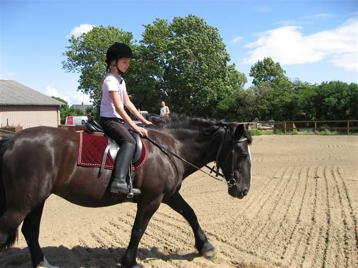 Tinker Miss I´Will billede 12