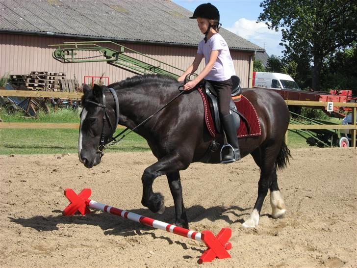 Tinker Miss I´Will billede 14