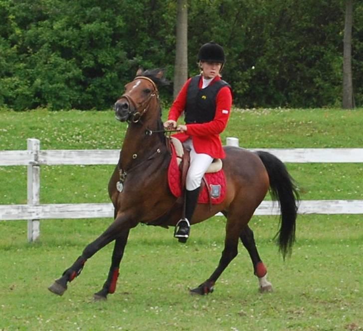 Anden særlig race Lotte<3 - foto: Louise Nielsen <3 billede 14