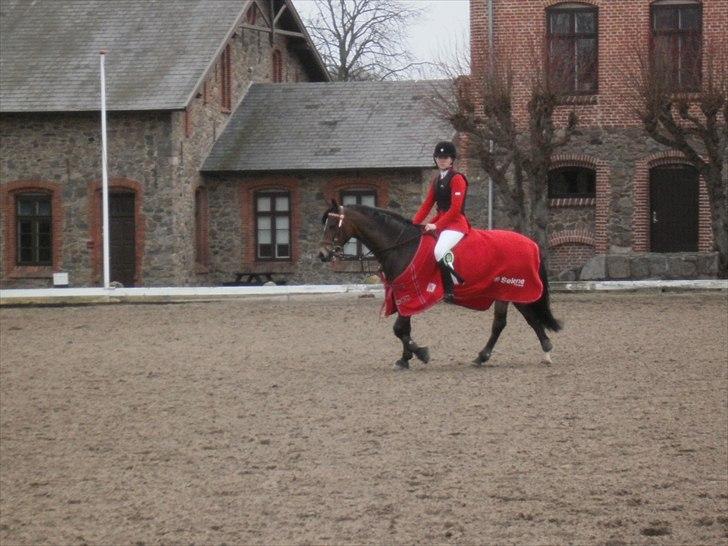 Anden særlig race Lotte<3 - Batic cup Fredag small tour - vandt :-) foto: Kristina 2011 billede 15