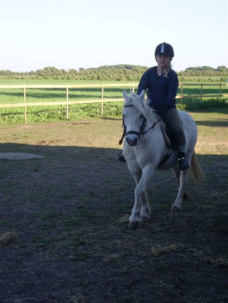 Anden særlig race polka  [solgt] - min første ridetur på Polka billede 2