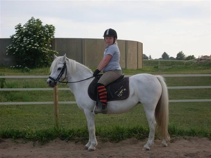 Anden særlig race polka  [solgt] - mig og polka hjemme på vores ridebane billede 3