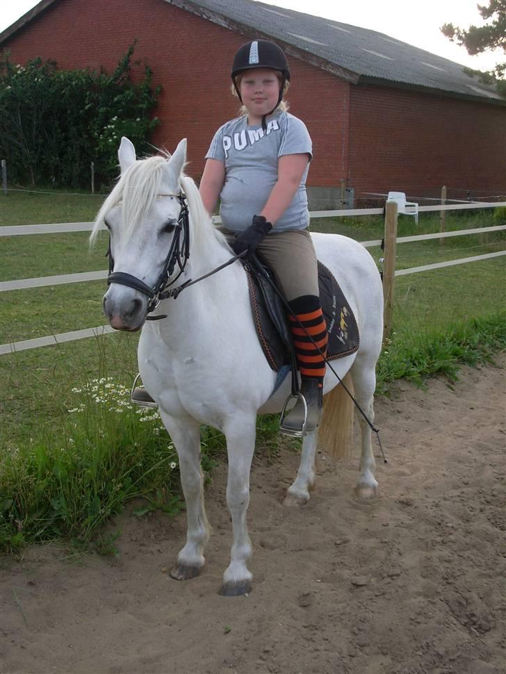 Anden særlig race polka  [solgt] - er vi ikke søde sammen billede 4